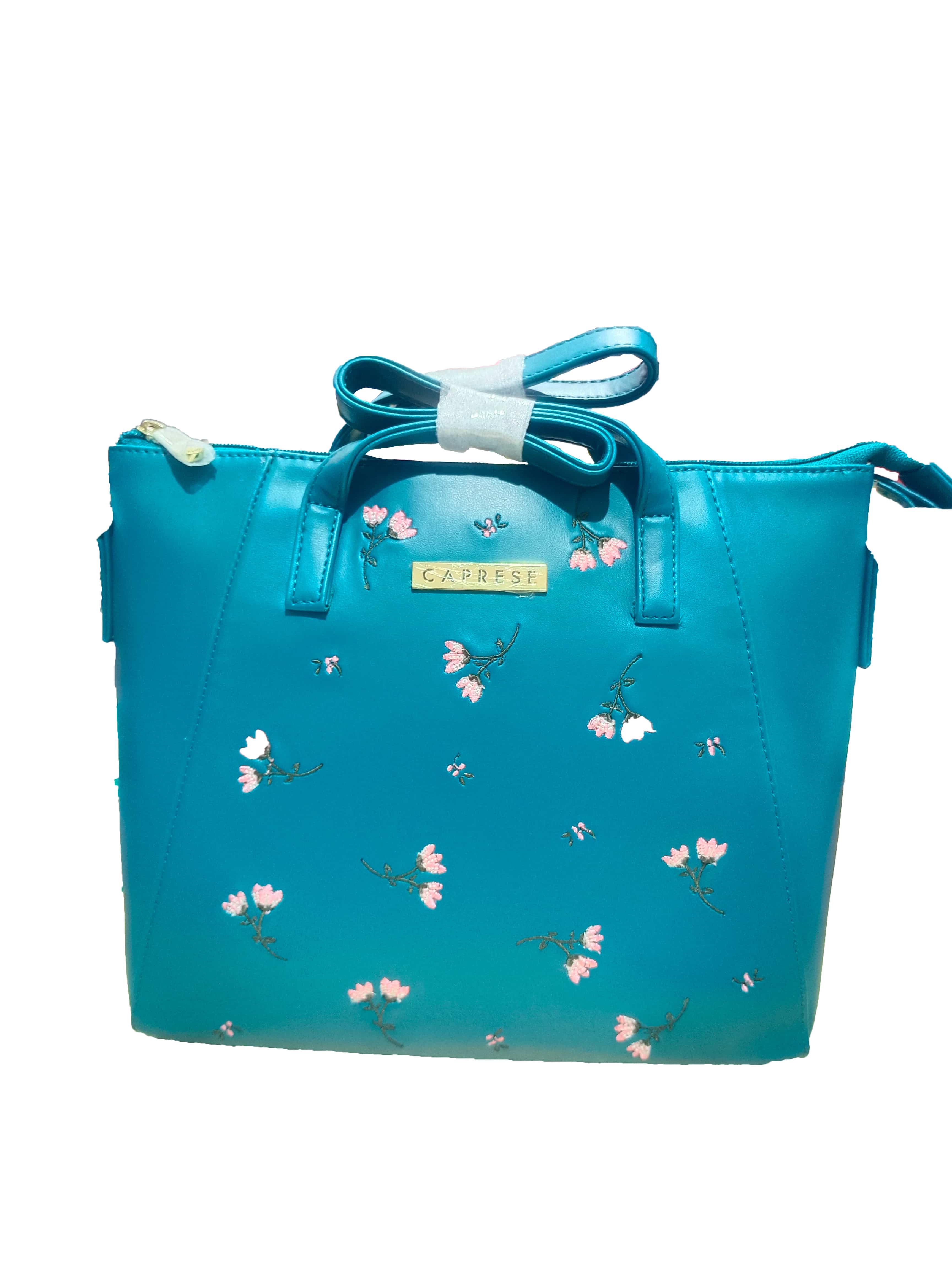 Aqua Handbag